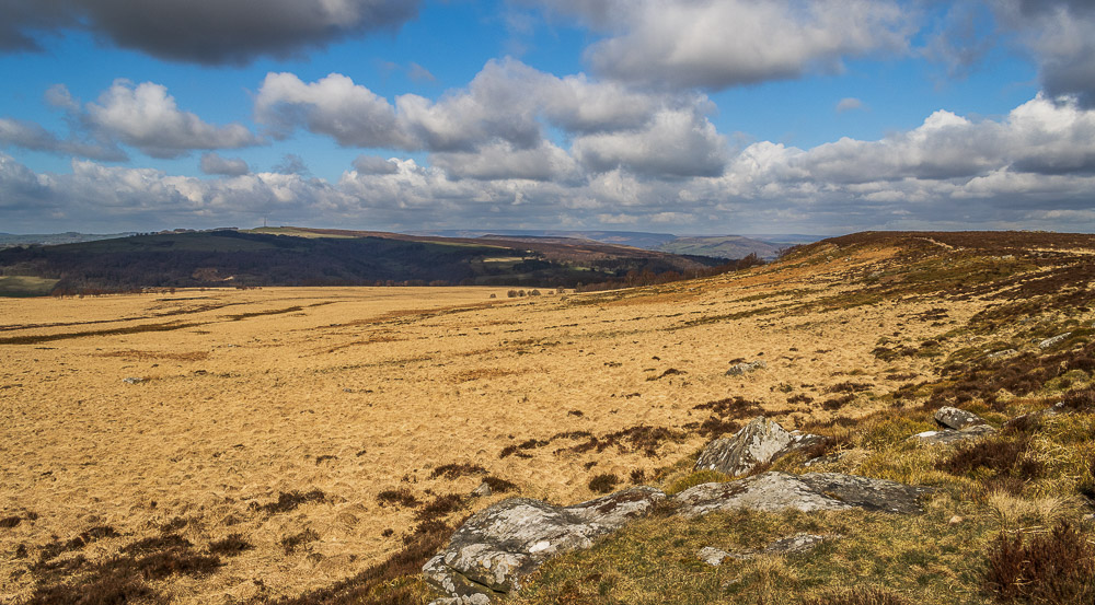 Stoke Flat